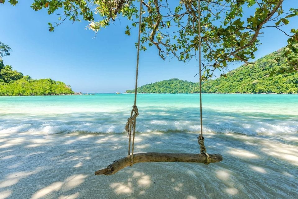 Un columpio de tronco de madera cuelga de la rama de un árbol sobre una playa de arena, con agua turquesa bañando la orilla y colinas verdes al fondo.