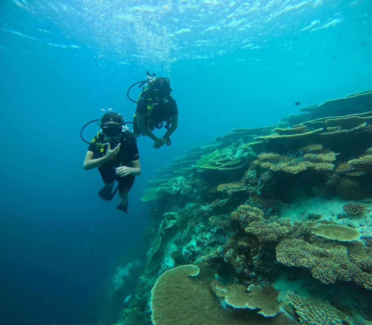 Due persone di un gruppo WeRoad in immersione subacquea in acque cristalline e blu, accanto a una grande barriera corallina a gradoni.