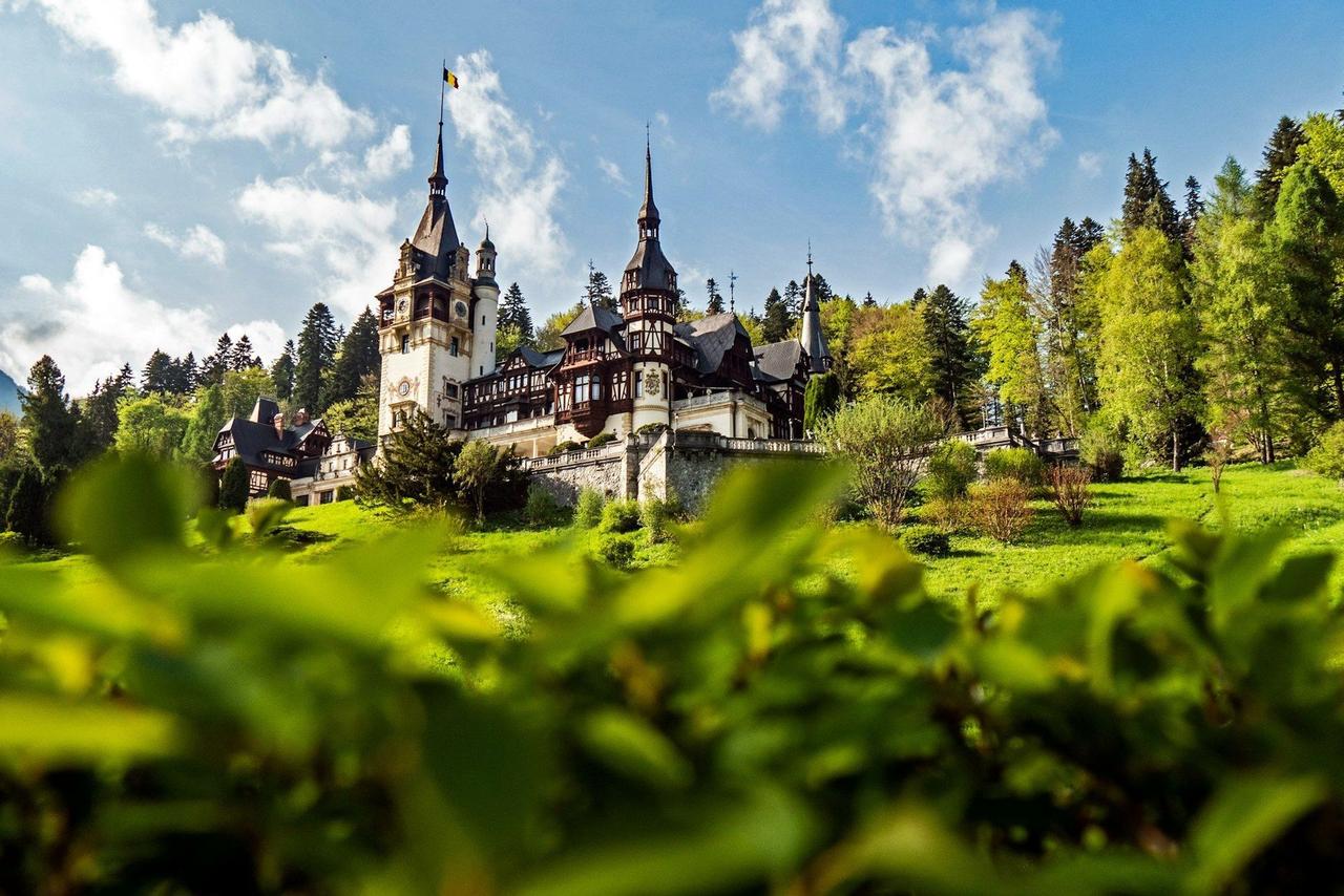 Un grand château à plusieurs tours est perché sur une colline verdoyante, entouré d'une forêt dense sous un ciel bleu nuageux, avec un feuillage flou au premier plan.