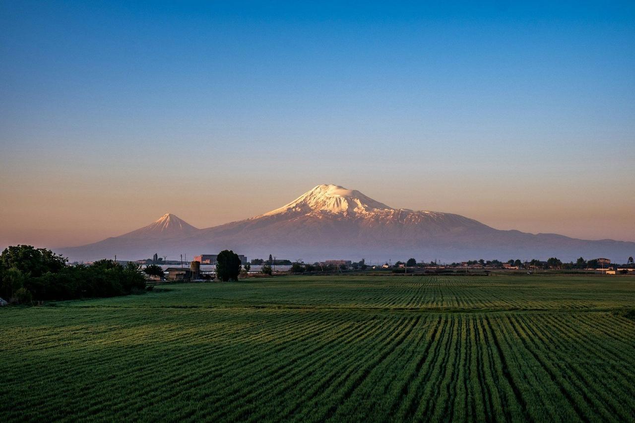 Un vasto campo agrícola verde con hileras ordenadas se extiende hacia una gran montaña nevada al amanecer bajo un cielo azul claro.