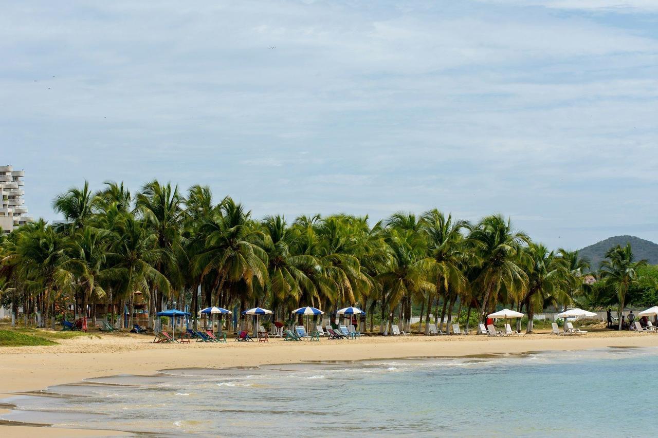 Una playa de arena con olas suaves, bordeada de palmeras, sillas de playa y sombrillas bajo un cielo nublado.