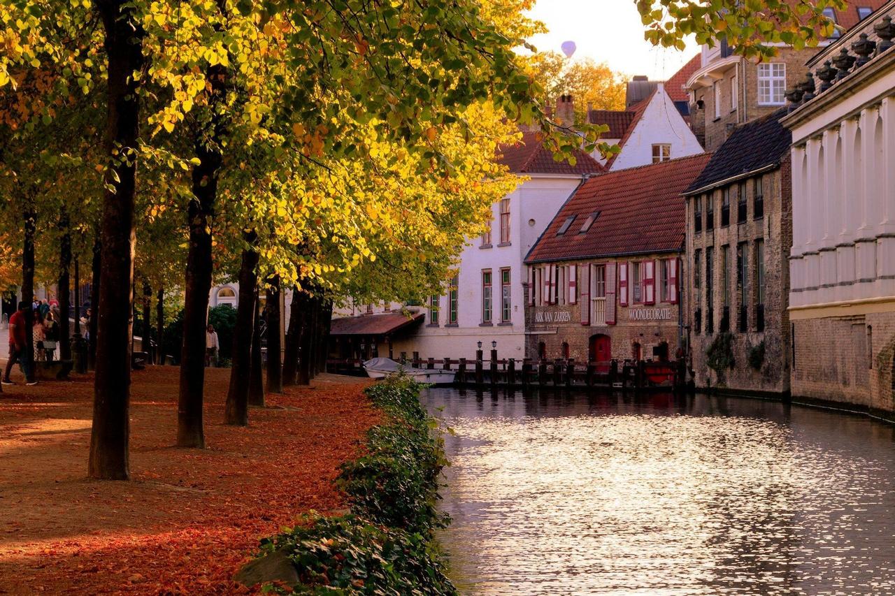 A sunlit canal flows past historic buildings and a tree-lined path covered with red and yellow autumn leaves.