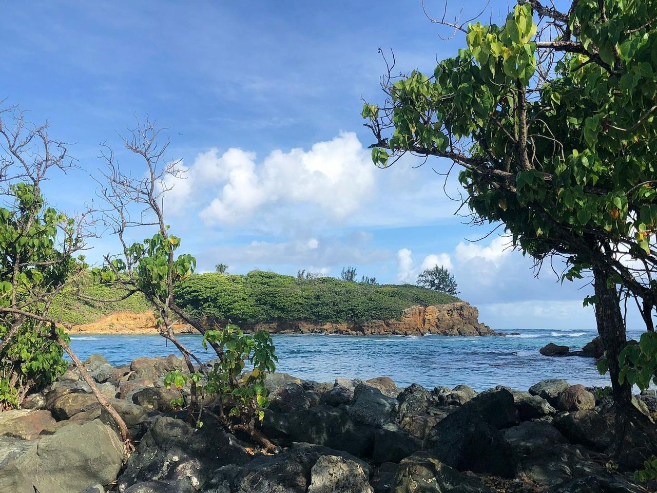 A view from a rocky coast shows a calm blue bay and a headland covered in green foliage under a partly cloudy sky.