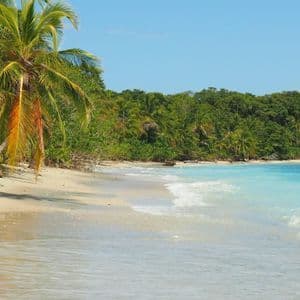 Una spiaggia di sabbia bianca con palme inclinate, acqua turchese e una lussureggiante foresta verde sotto un cielo azzurro limpido.