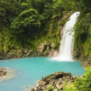 Una cascata scende da una scogliera ricoperta di muschio in una vibrante piscina turchese circondata da una fitta e verde vegetazione della giungla