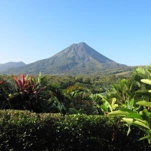 Un grande vulcano con pendii verdi e boscosi visto da dietro un rigoglioso giardino tropicale sotto un cielo azzurro chiaro.