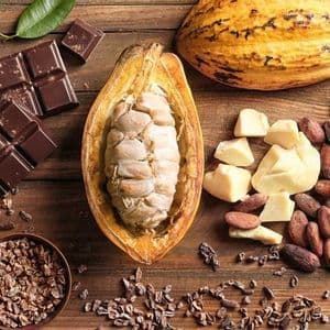 An arrangement of cacao pods, beans, cocoa butter, and a dark chocolate bar on a wooden table.
