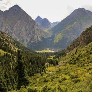 A panoramic view of a vast green valley filled with dense pine forests, nestled between towering, rocky mountain ranges under a bright sky.