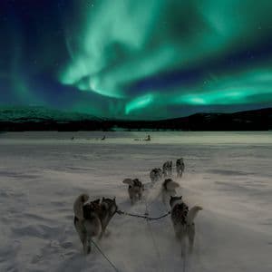 Ein Schlittenhundegespann zieht einen Schlitten durch eine weite, verschneite Landschaft unter den grünen Polarlichtern.