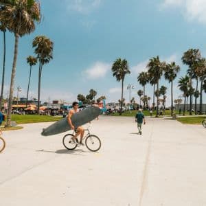 Un uomo in bicicletta trasporta una tavola da surf su una soleggiata passeggiata fiancheggiata da alte palme.