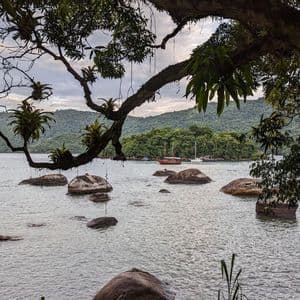 Un ramo d'albero con bromelie pende su una baia con grandi massi, con barche ancorate vicino a un'isola boscosa sullo sfondo.