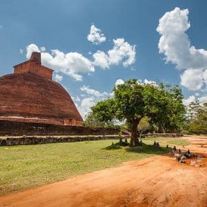 A large red brick stupa sits on a grassy field with a dirt road, trees, and several monkeys under a partly cloudy sky.