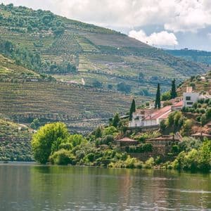 Una vista su un ampio fiume verso ripidi pendii terrazzati coperti di vigneti e punteggiati da piccole case