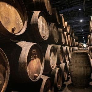File di grandi botti di legno impilate in una lunga cantina poco illuminata.