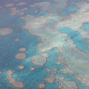 The Great Barrier Reef from the air Coral formations of the Great Barrier Reef seen from above, pale rings set in clear turquoise water.