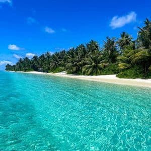Una spiaggia di sabbia bianca, orlata da palme, confina con acque oceaniche limpide e turchesi sotto un cielo azzurro e luminoso.