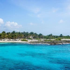 Una costa tropicale con palme e spiaggia sabbiosa, bagnata da acque limpide e turchesi sotto un cielo parzialmente nuvoloso.