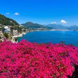 Buganvillas rosa brillante dominan un pueblo costero soleado con mar azul y montañas verdes bajo un cielo despejado.
