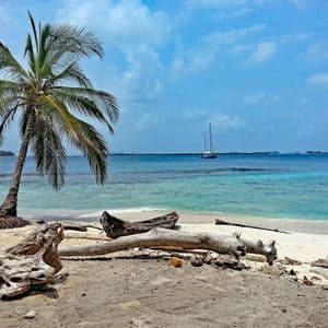 Una palma si china su una spiaggia di sabbia bianca con legni e una piccola barca. Una barca a vela è visibile sull'oceano turchese.