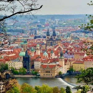 Vue plongeante d'une ville européenne historique avec des toits de tuiles rouges et des flèches, encadrée par des branches d'arbres avec une rivière en contrebas.