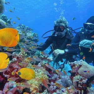 Due subacquei in un viaggio di gruppo WeRoad esplorano una vivace barriera corallina circondata da banchi di pesci.