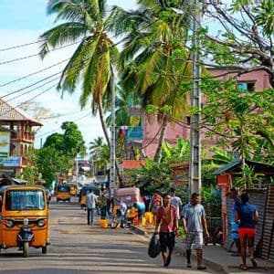 A busy street with people walking, yellow auto-rickshaws, and shops, lined with tall palm trees under a clear sky.