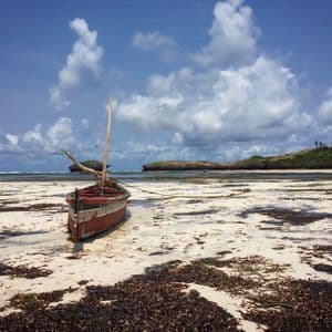 A wooden sailboat rests on a sandy beach covered with seaweed during low tide under a cloudy sky.