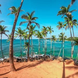 Alte palme su un promontorio sabbioso che si affaccia su una costa rocciosa e un oceano turchese sotto un cielo azzurro e limpido