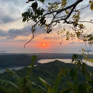 Vista di un tramonto sull'oceano da un punto elevato, sopra un paesaggio collinare verde con laghi, incorniciata da un ramo d'albero con fiori gialli.