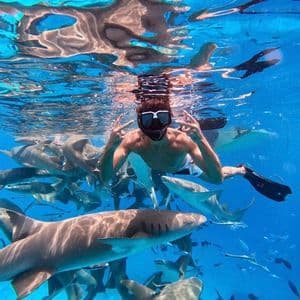 Un plongeur en apnée fait des signes de paix avec les deux mains, nageant au milieu d'un grand banc de requins dans une eau bleue et claire.
