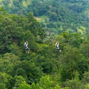 Due persone con caschi e imbracature praticano zip-line su linee parallele, ad alta quota sopra una fitta foresta verde.