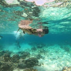 An underwater view of a woman snorkeling next to a sea turtle in clear turquoise water over a coral reef.