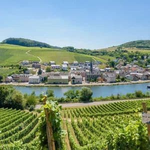 Vista da un rigoglioso vigneto che si affaccia su un villaggio in riva al fiume, con dolci colline verdi in lontananza.