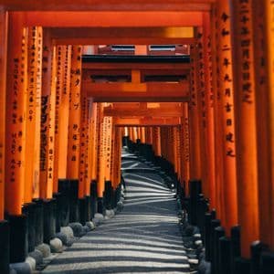 Ein Steinpfad schlängelt sich durch einen Korridor orangefarbener Torii-Tore mit japanischen Schriftzeichen und wirft im Sonnenlicht gestreifte Schatten.