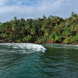 Un surfista en una tabla de surf cabalga una ola en el océano junto a una exuberante costa tropical con muchas palmeras.