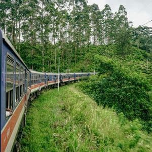 Un tren azul y rojo serpentea a través de un paisaje verde vibrante con bosques y plantaciones de té.