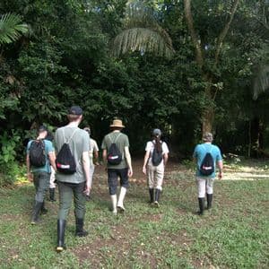 Eine WeRoad-Gruppe mit Gummistiefeln läuft von einer grasbewachsenen Lichtung in den dichten Dschungel.
