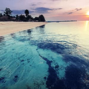 L'eau turquoise et limpide, avec un fond marin visible de sable et d'algues, clapote sur une plage de sable au coucher du soleil.
