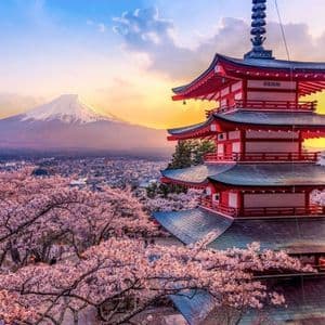 Una pagoda roja y cerezos en flor rosas dominan una ciudad, con una montaña nevada al fondo durante el atardecer.