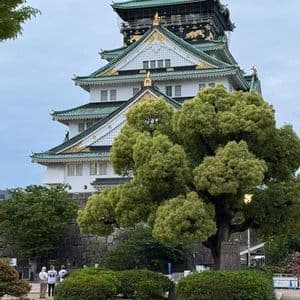 Un grande castello tradizionale giapponese con tetti di tegole verdi si erge dietro un albero verde lussureggiante, con alcune persone in primo piano.