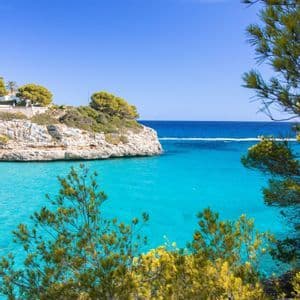 Una caletta rocciosa con acque turchesi vibranti, incorniciata da pini verdi sotto un cielo azzurro chiaro.