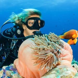 Un plongeur en équipement complet observe deux poissons-clowns oranges nageant à côté d'une grande anémone de mer sur un récif corallien.