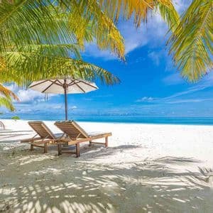 Due lettini vuoti e un ombrellone su una spiaggia di sabbia bianca sotto le palme, di fronte a un mare turchese e calmo.