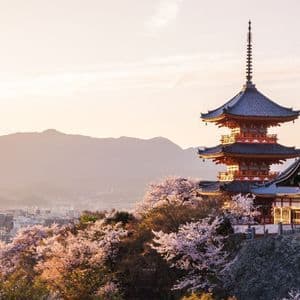 Una pagoda e un tempio giapponese circondati da ciliegi in fiore, affacciati su una città con montagne sullo sfondo al tramonto.