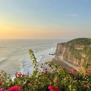 Buganvillea rosa in primo piano, con una scogliera verde a picco sul mare al tramonto.