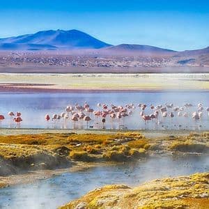 Rosafarbene Flamingos waten in einer flachen, dampfenden Lagune vor einer trockenen, bergigen Landschaft unter einem klaren blauen Himmel.