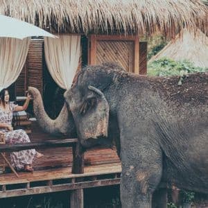 Una donna siede sul portico di legno di una capanna con tetto di paglia, allungando la mano per toccare la proboscide di un elefante in piedi accanto a lei.