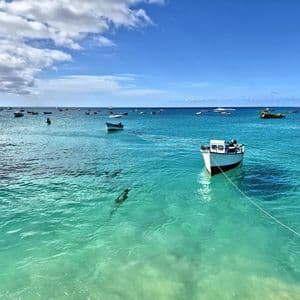 Dozens of small boats float on calm, turquoise water with the shapes of large fish visible below under a blue sky.