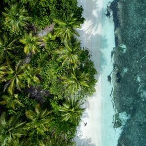 Una veduta aerea dall'alto di una persona che passeggia su una spiaggia di sabbia bianca, delimitata da palme rigogliose e acqua turchese.