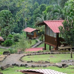Bungalows de madera con techos rojos se asientan en una ladera cubierta de hierba, interconectados por un sinuoso sendero de piedra en una exuberante selva verde.